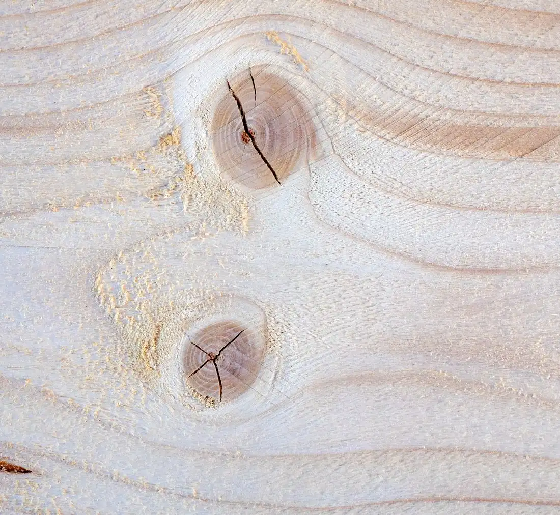 Texture du bois de épicéa
