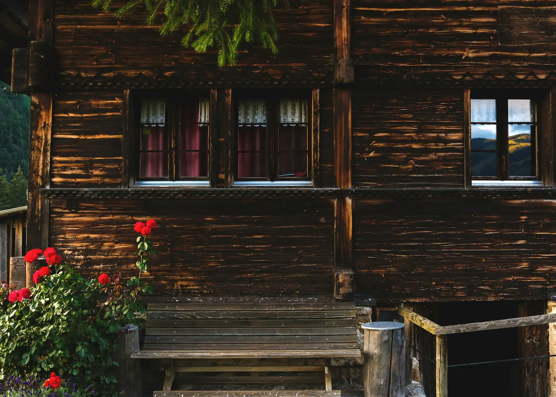 Sonnengebräunte Blockbaufassade eines Chalets mit Sprossenfenstern und roten Geranien