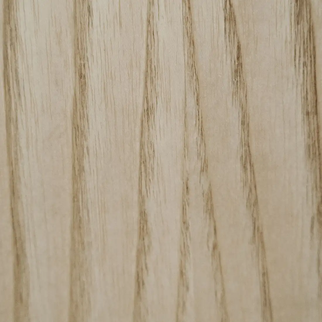 Texture du bois de frêne