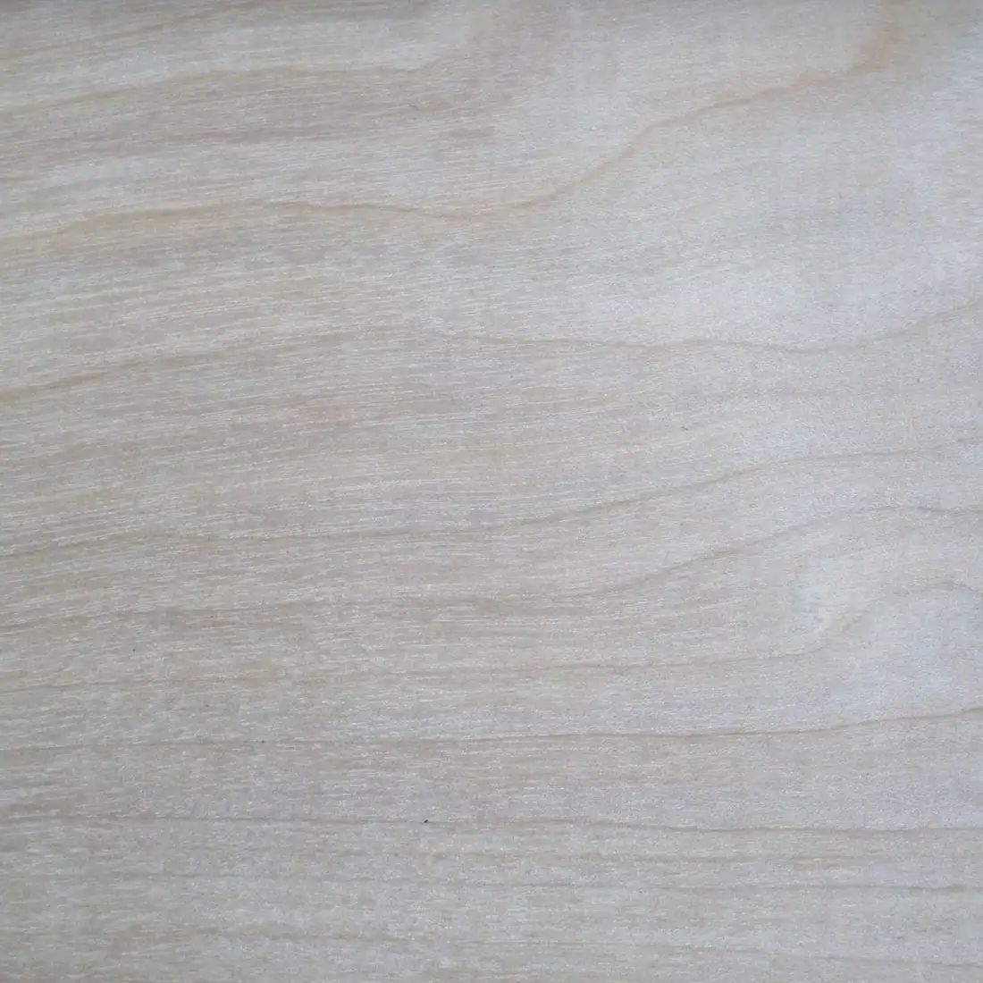 Texture du bois de hêtre